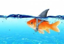 Tereddüt Etme, Cesaret Et