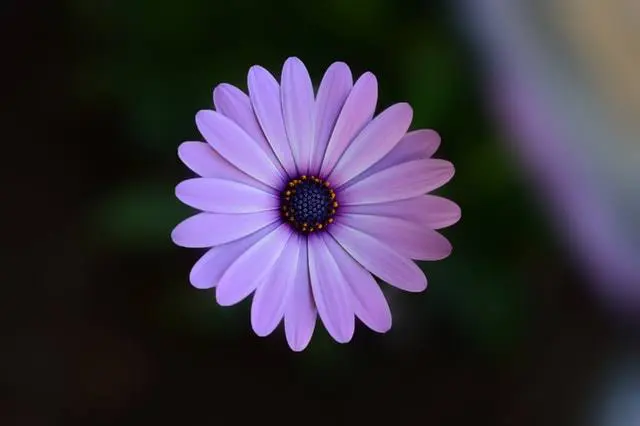 9A6B6EE7-CC40-46F5-BCAF-68A09B12CA2A