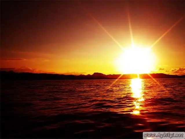 BD0AF3F1-CCCB-4AF7-8CDF-9AB251599E09