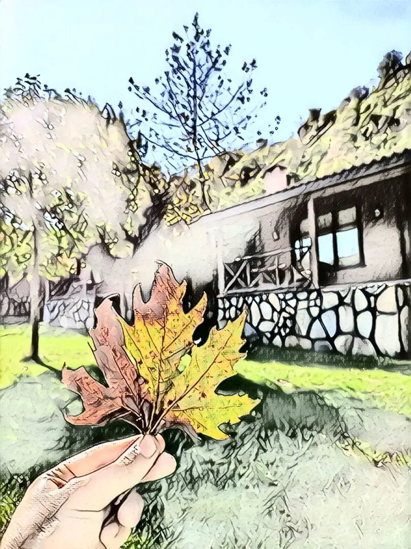 PicsArt_12-18-11.26.01