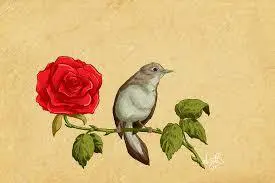 tumblr_oqi9a8Hrl31w90dvso1_400