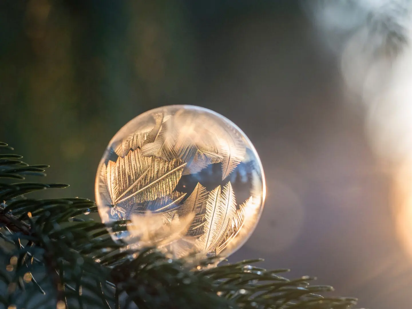 aaron-burden-wPy71r8Hi_s-unsplash (1)