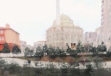 Haset ve Kıskançlık