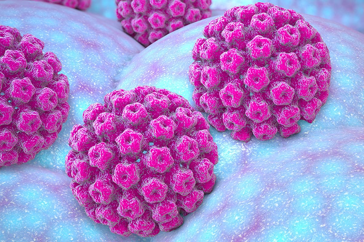 HPV Nedir, HPV Virüsü ve belirtileri nelerdir? Aşısı nedir, testi nasıl yapılır?