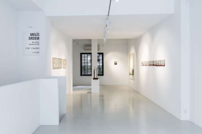 İstanbul Simbart Projects, Melis Erdem 