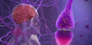 Dopamin Nedir? Ne İşe Yarar, İşlevleri Nelerdir? Dopamin nedir? Ne İşe Yarar, Beyindeki Dopamin İşlevleri