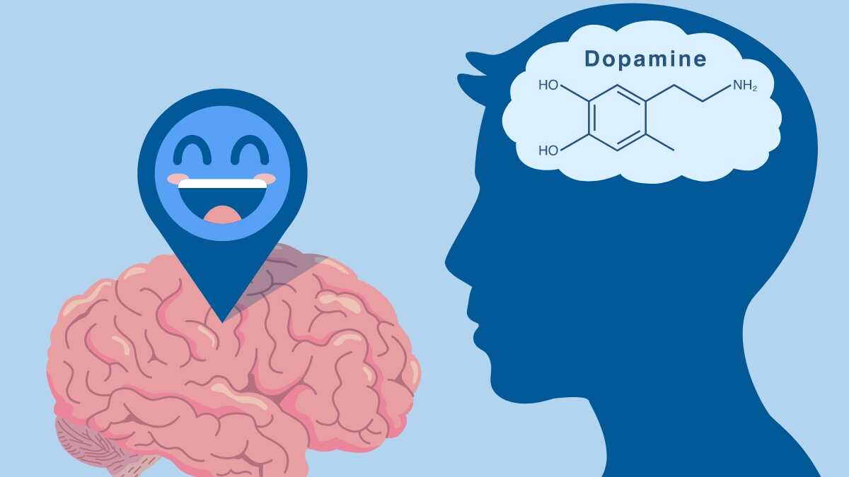 Dopamin nedir? Ne İşe Yarar, Beyindeki Dopamin İşlevleri