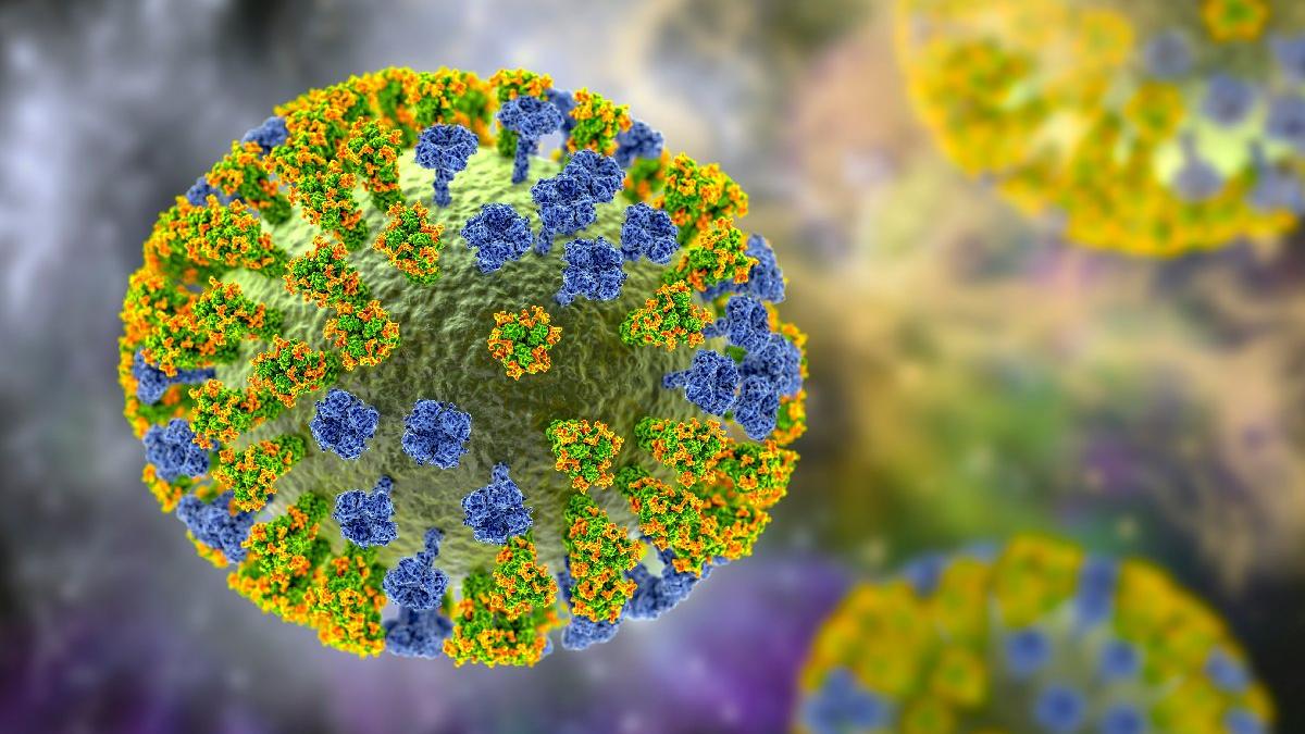 Maymun Çiçeği Virüsü nedir? Hastalığı, belirtileri, bitkisi, tedavisi 