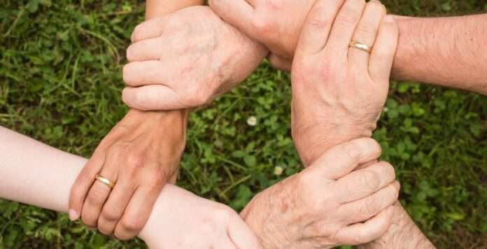 Aile Dizimi Nedir, Ne Demek? Eğitimi, Terapisti, Açılımı ve Bilimi