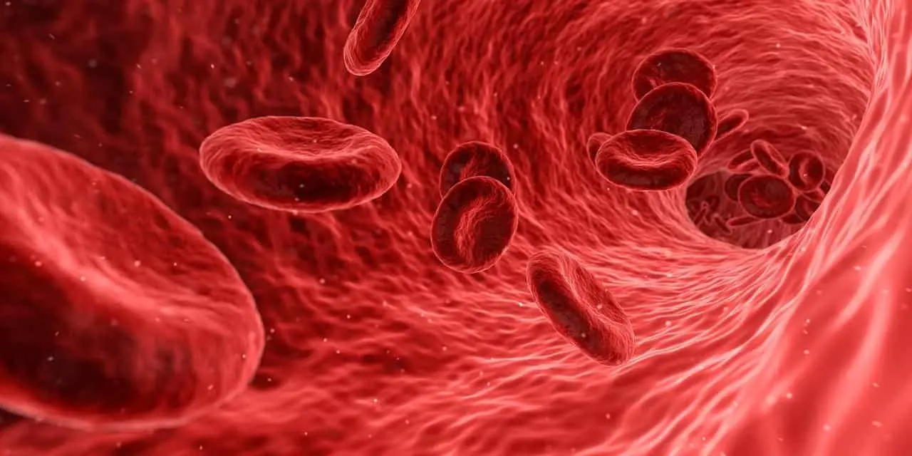 Trigliserid Nedir? Açılımı, Anlamı ve Alt Sınırı Nasıl Belirlenir?