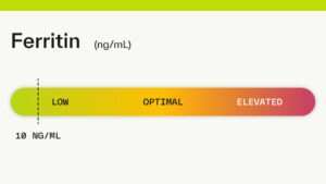 Ferritin Nedir? Ferritin Ve Beslenme Dengesi, Hamilelikte Ferritin!