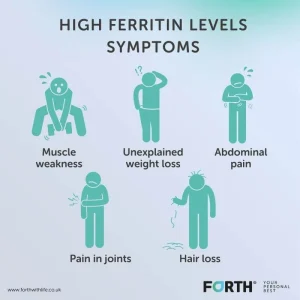 Ferritin Nedir? Ferritin Ve Beslenme Dengesi, Hamilelikte Ferritin!