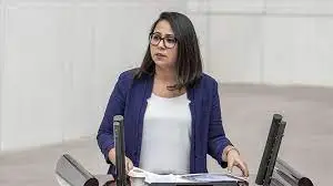 TİP Milletvekili Sera Kadıgil Kimdir? Sera Kadıgil Ne İş Yapıyor?