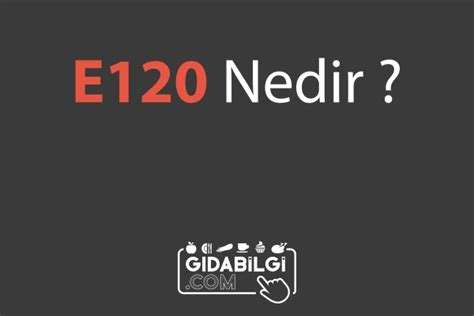 E120 nedir?