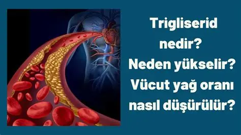 Trigliserid nedir?