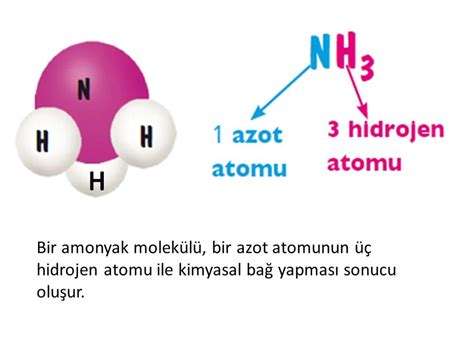 Amonyak nedir?