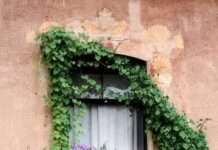 Pencereler Pencereler - Pınar Arslan | 24Okur, Edebiyat, Şiir, Deneme