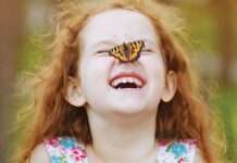 Bir Düş Kadar Bir Düş Kadar | Pınar Arslan | 24Okur, Deneme, Edebiyat